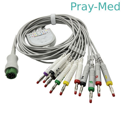 comprare l'elettrocardiogramma di Biocare di 10 fili di piombo cabla il rivestimento grigio di 3.6m TPU con il connettore della banana 4,0 fabbricazione online