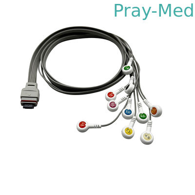 comprare Nihon Kohden Holter ECG Cable 10 lead per il registratore RAC-2512 1m TPU Jacket fabbricazione online