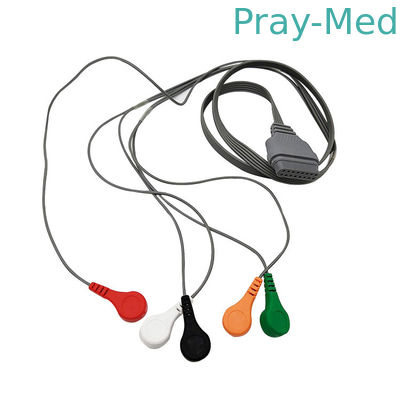 comprare Cavo di Ecg del cavo di Holter 5, cavo Edan SE2003/SE2012 del connettore del monitor con 16 perni fabbricazione online