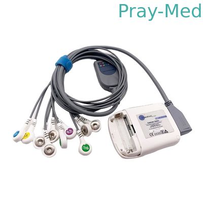 comprare Cavo 2m grigi di Borsam Holter Ecg Cable 10 compatibili per Bs6930 BS6930-3 fabbricazione online