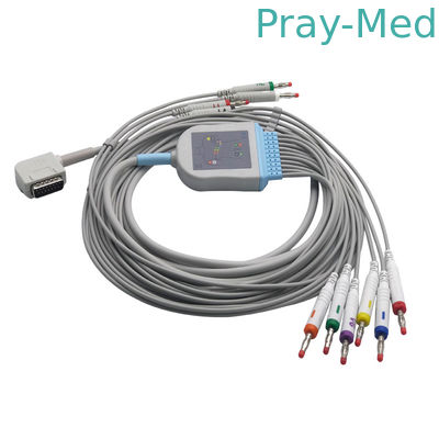 comprare Kenz 108/109 cavi di Ecg e Leadwires, cavo paziente di Ecg con la banana/il baccano 3,0 fabbricazione online