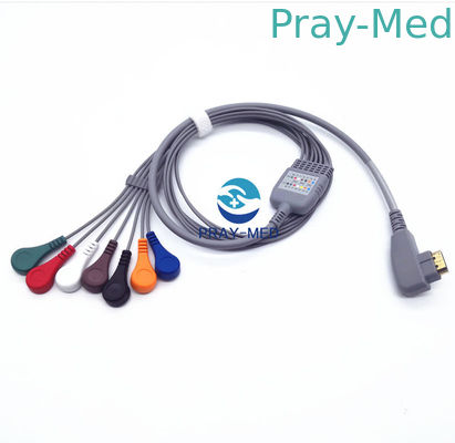 comprare Il cavo paziente 5/7/10 di Holter ECG del DMS conduce il Pin 19 con una garanzia da 6 mesi fabbricazione online